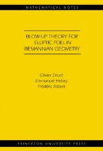 Blow-up Theory for Elliptic PDEs in Riemannian Geometry (MN-45)