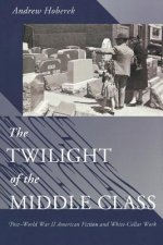 Twilight of the Middle Class