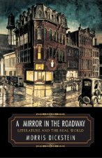 Mirror in the Roadway