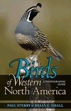 Birds of Western North America