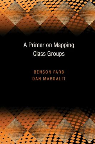 Primer on Mapping Class Groups (PMS-49)