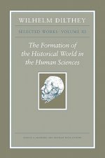 Wilhelm Dilthey: Selected Works, Volume III