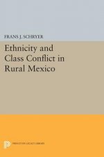 Ethnicity and Class Conflict in Rural Mexico