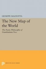 New Map of the World