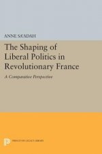 Shaping of Liberal Politics in Revolutionary France