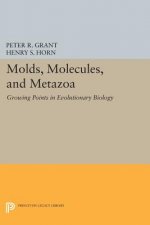 Molds, Molecules, and Metazoa