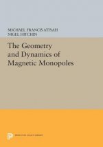 Geometry and Dynamics of Magnetic Monopoles