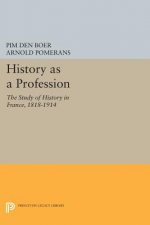 History as a Profession