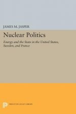 Nuclear Politics