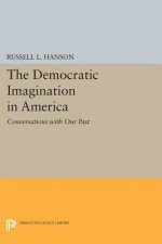 Democratic Imagination in America