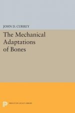 Mechanical Adaptations of Bones