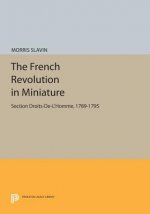 French Revolution in Miniature