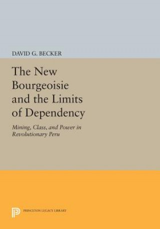 New Bourgeoisie and the Limits of Dependency