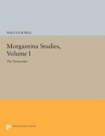 Morgantina Studies, Volume I