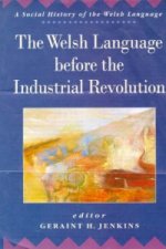 Welsh Language Before the Industrial Revolution