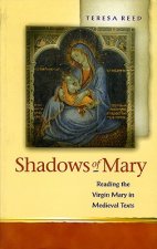 Shadows of Mary