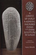 Corpus of Medieval Inscribed Stones and Stone Sculpture in Wales: South-West Wales v. 2