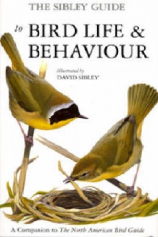 Sibley Guide to Bird Life and Behaviour