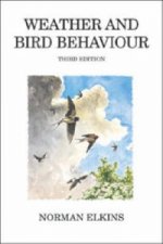 Weather and Bird Behaviour