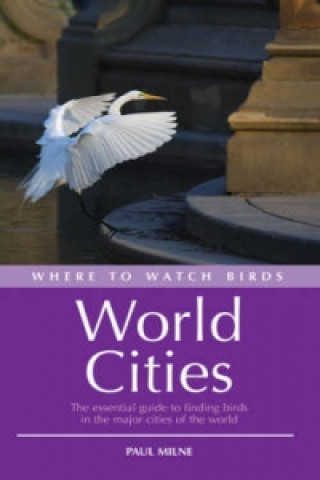 Where to Watch Birds in World Cities