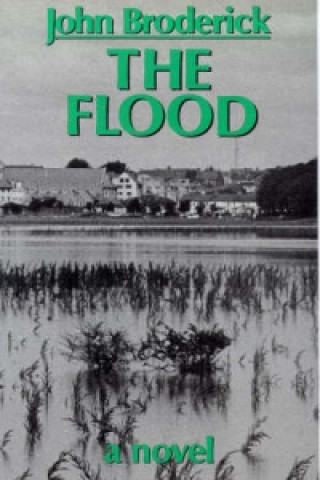 Flood
