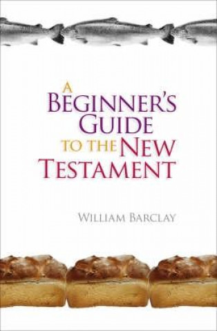 Beginner's Guide to the New Testament