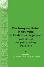 European Union in the Wake of Eastern Enlargement