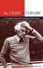 Crisis of Theory
