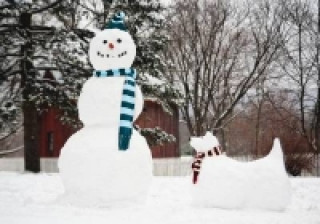 Snowman & Snowdog Notecards