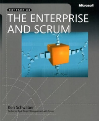 Enterprise and Scrum, The