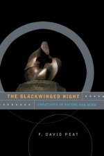 Blackwinged Night