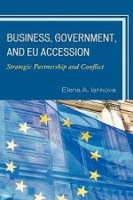 Business, Government, and EU Accession