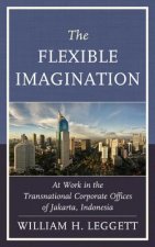Flexible Imagination