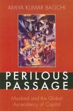 Perilous Passage