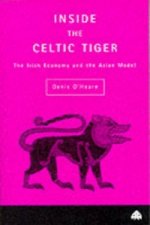 Inside the Celtic Tiger
