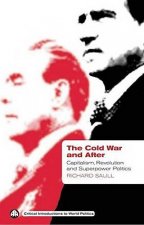 Cold War and After