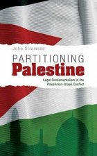 Partitioning Palestine