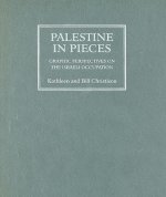 Palestine in Pieces