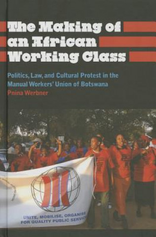 Making of an African Working Class