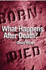 What Happens After Death?