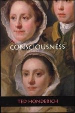 On Consciousness