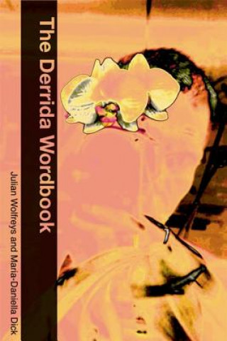 Derrida Wordbook