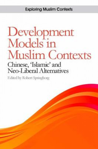 Development Models in Muslim Contexts
