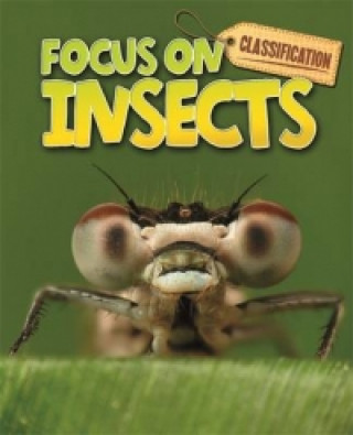 Classification: Focus on: Insects