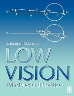 Low Vision