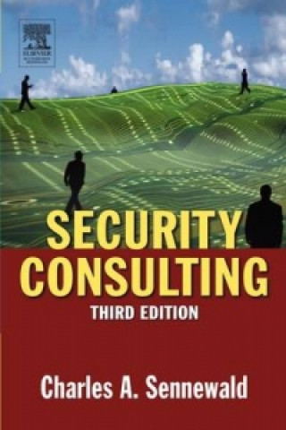 Security Consulting
