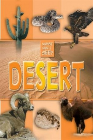 What Can I See?: Desert