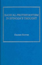 Radical Protestantism in Spinoza's Thought