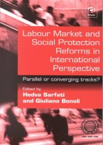 Labour Market and Social Protection Reforms in International Perspective