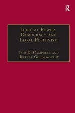 Judicial Power, Democracy and Legal Positivism